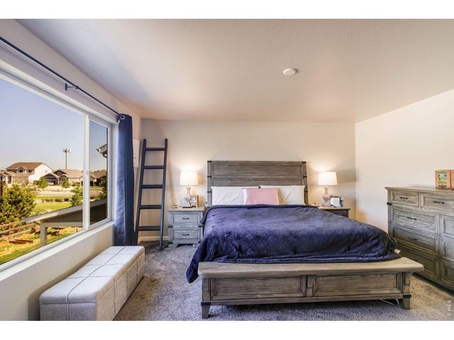 16733 Beaumont Blvd, Mead, CO 80542