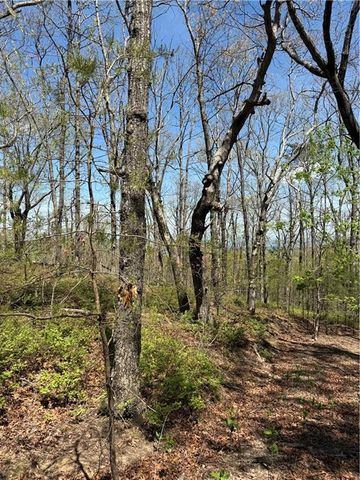 161 Sharp Mountain Parkway, Jasper, GA 30143