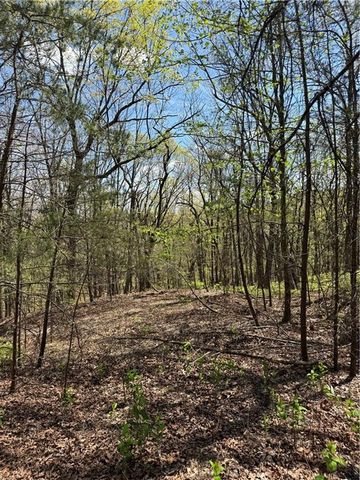 161 Sharp Mountain Parkway, Jasper, GA 30143