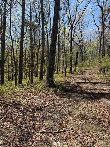 161 Sharp Mountain Parkway, Jasper, GA 30143