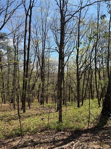 161 Sharp Mountain Parkway, Jasper, GA 30143