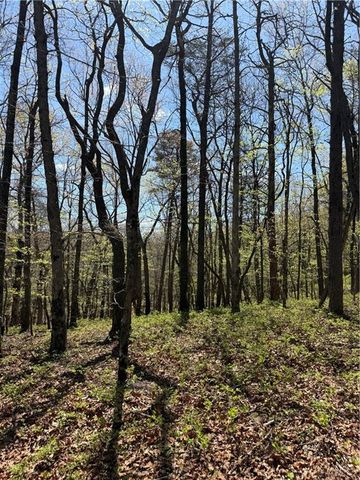 161 Sharp Mountain Parkway, Jasper, GA 30143