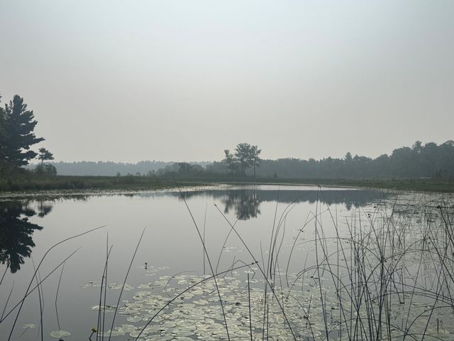 8038 Lost Lake Road tbd, Lake Shore, MN 56468