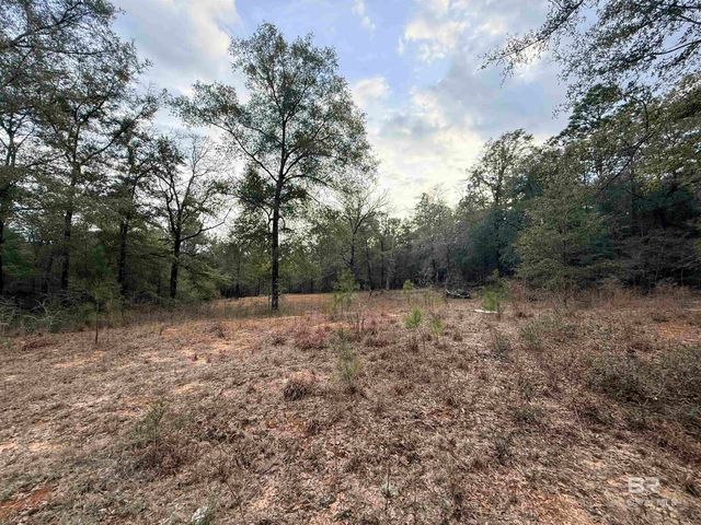 9325 N GEORGETOWN HILLS Road, Wilmer, AL 36587