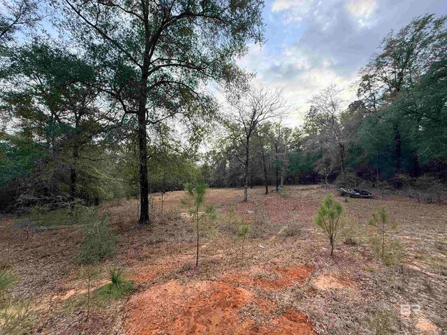 9325 N GEORGETOWN HILLS Road, Wilmer, AL 36587