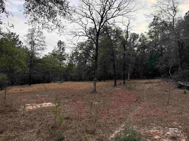 9325 N GEORGETOWN HILLS Road, Wilmer, AL 36587