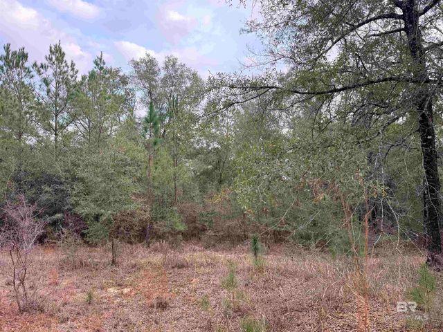 9325 N GEORGETOWN HILLS Road, Wilmer, AL 36587