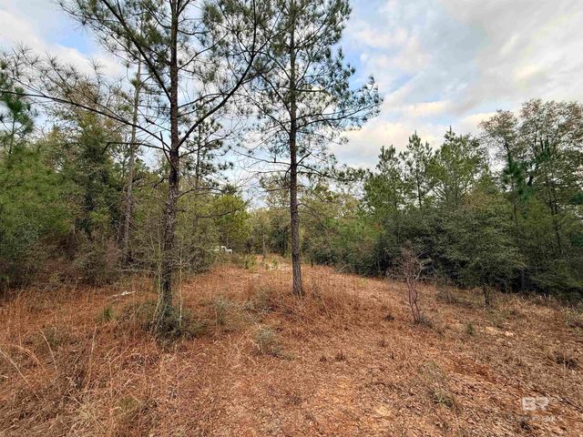 9325 N GEORGETOWN HILLS Road, Wilmer, AL 36587