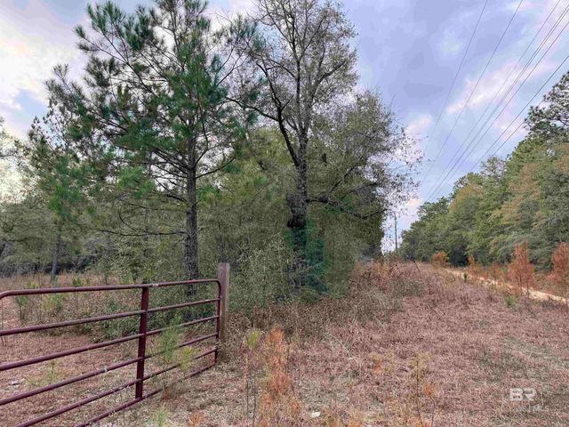 9325 N GEORGETOWN HILLS Road, Wilmer, AL 36587