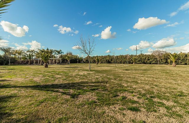 7010 S Frankwood Avenue, Reedley, CA 93654
