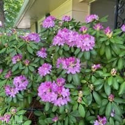 6445 Lake Avenue, Elyria, OH 44035