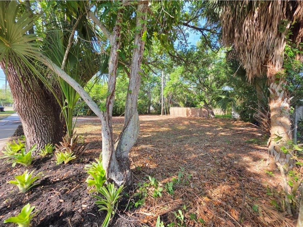 2715 5TH STREET S, St Petersburg, FL 33705
