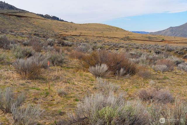 0 Parcel A McNeil Canyon Rd, Orondo, WA 98816