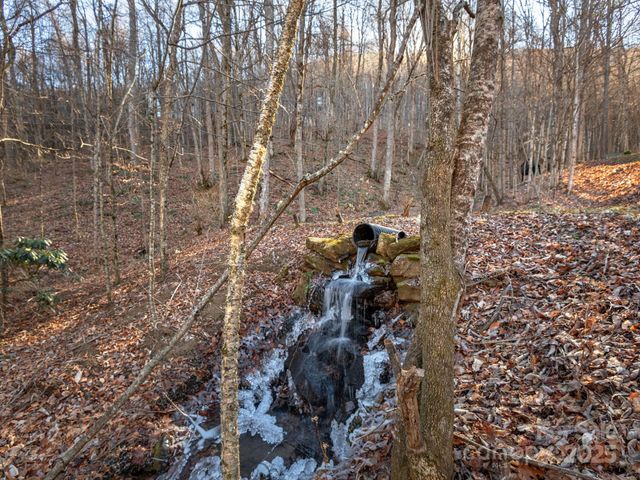 1591 Chestnut Flats Lane, Waynesville, NC 28786