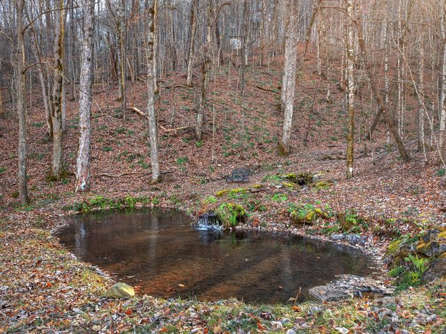 1591 Chestnut Flats Lane, Waynesville, NC 28786