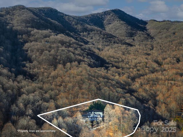 1591 Chestnut Flats Lane, Waynesville, NC 28786
