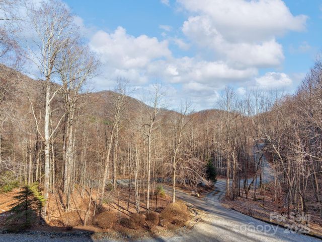 1591 Chestnut Flats Lane, Waynesville, NC 28786
