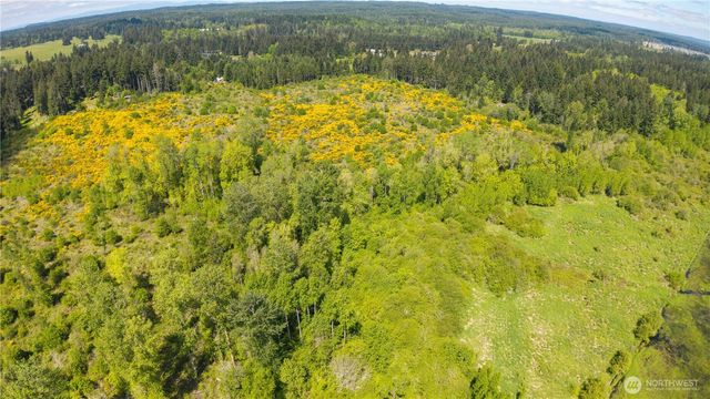 0 Charbonneau Lane SE, Yelm, WA 98597