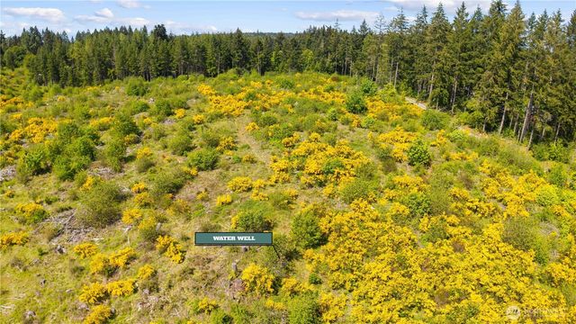 0 Charbonneau Lane SE, Yelm, WA 98597
