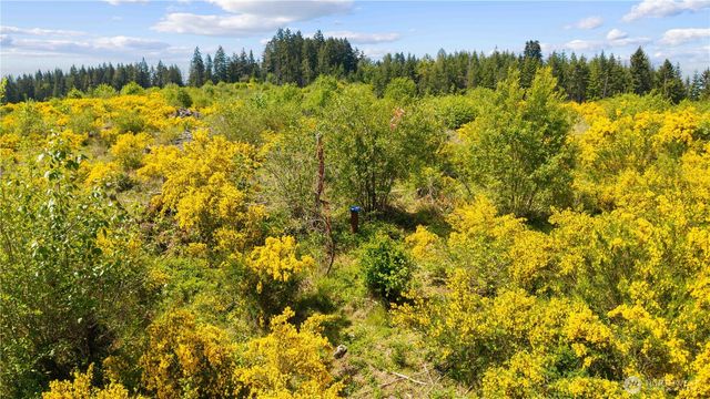 0 Charbonneau Lane SE, Yelm, WA 98597