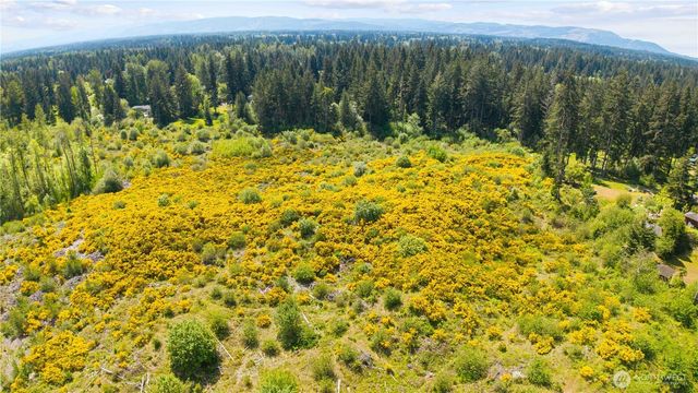 0 Charbonneau Lane SE, Yelm, WA 98597