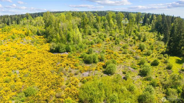 0 Charbonneau Lane SE, Yelm, WA 98597