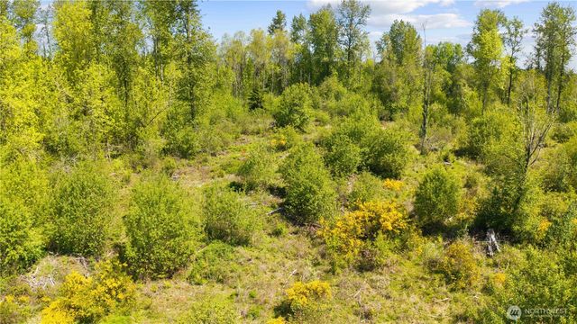 0 Charbonneau Lane SE, Yelm, WA 98597