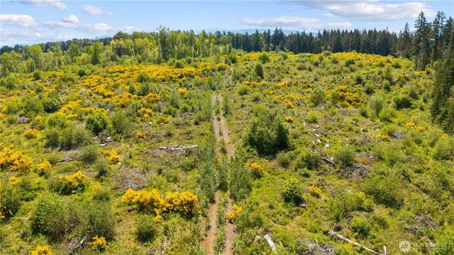 0 Charbonneau Lane SE, Yelm, WA 98597