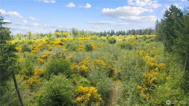 0 Charbonneau Lane SE, Yelm, WA 98597