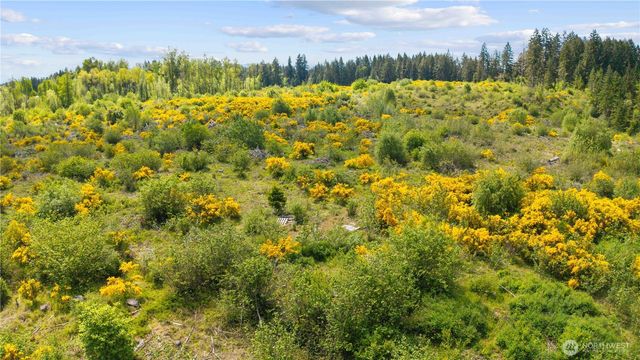 0 Charbonneau Lane SE, Yelm, WA 98597