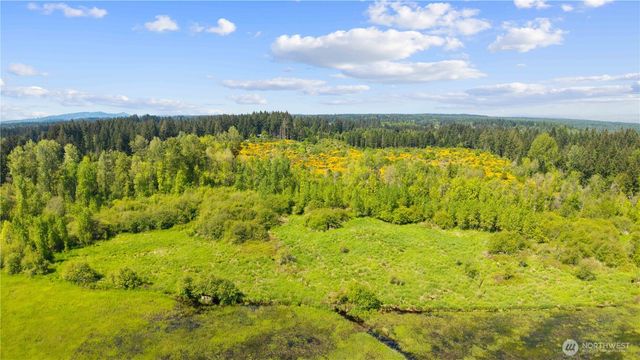 0 Charbonneau Lane SE, Yelm, WA 98597