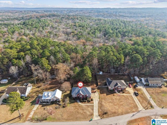 13675 LISA DRIVE, Lake View, AL 35111