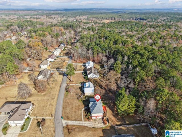 13675 LISA DRIVE, Lake View, AL 35111