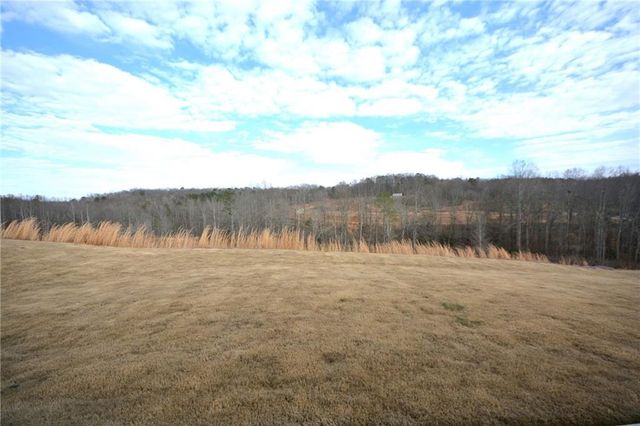 1450 Sunny Valley Lane, Braselton, GA 30517