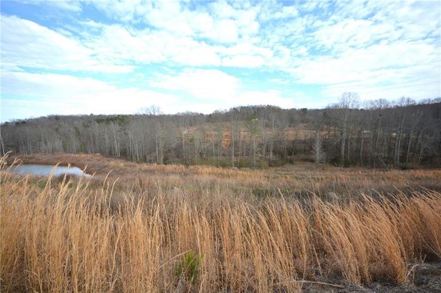 1450 Sunny Valley Lane, Braselton, GA 30517