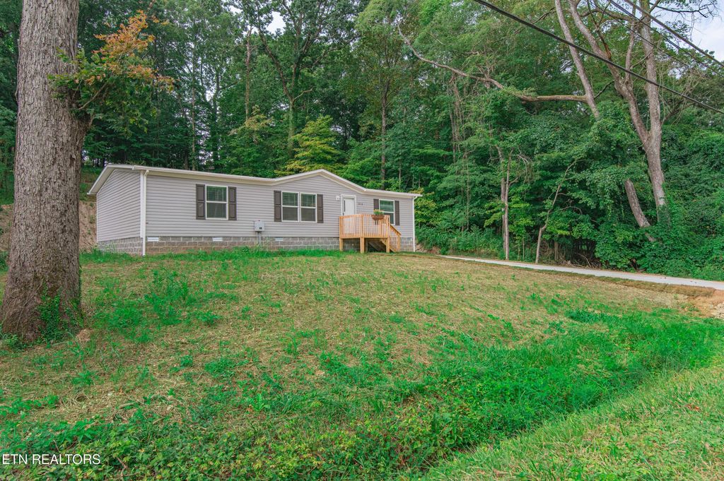 315 Molyneux St, Rockwood, TN 37854