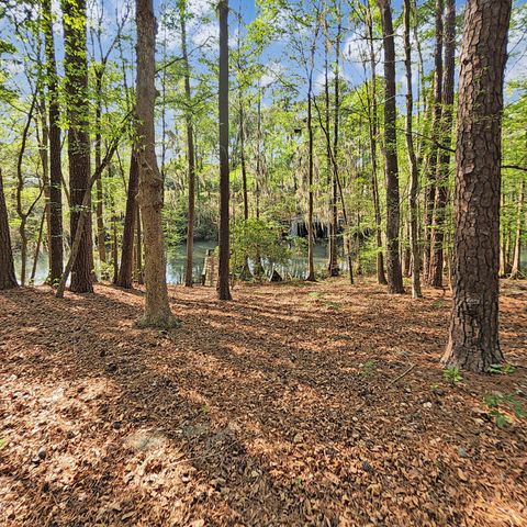 384 Suwanee Drive, Vance, SC 29163