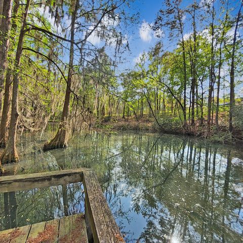 384 Suwanee Drive, Vance, SC 29163