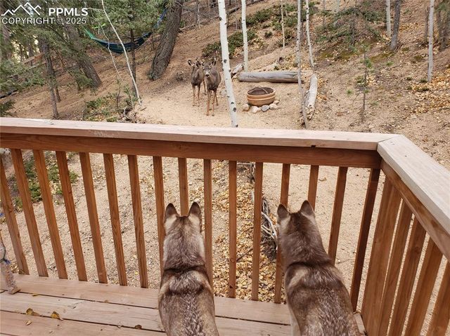 509 Wakanda Trail, Woodland Park, CO 80863