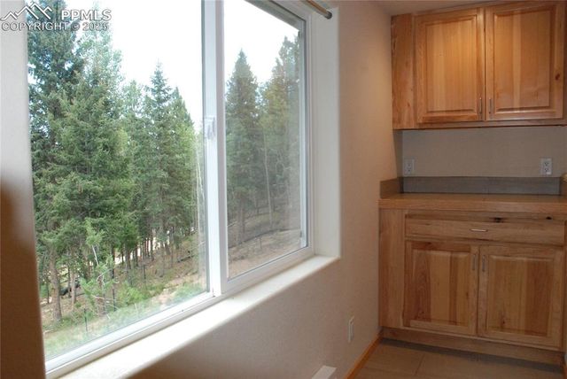 509 Wakanda Trail, Woodland Park, CO 80863