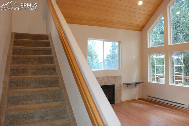 509 Wakanda Trail, Woodland Park, CO 80863