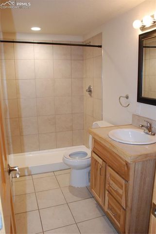 509 Wakanda Trail, Woodland Park, CO 80863