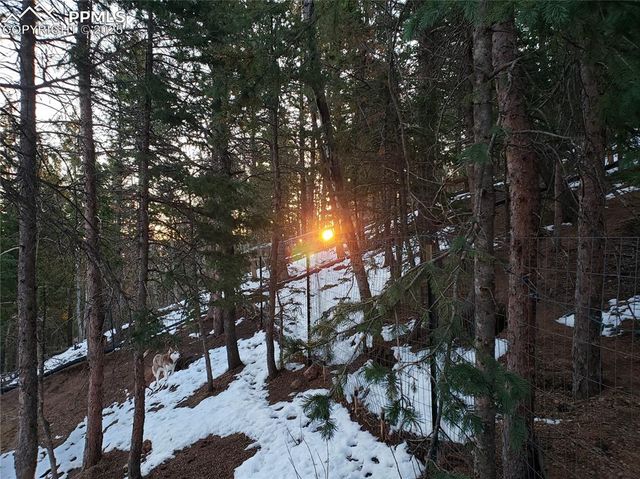 509 Wakanda Trail, Woodland Park, CO 80863