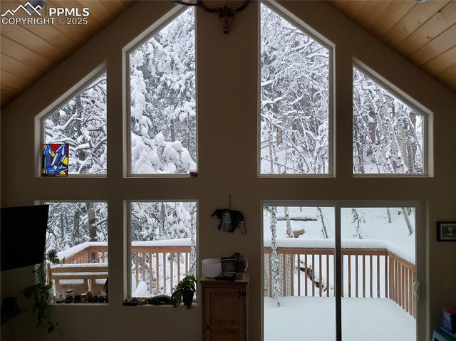 509 Wakanda Trail, Woodland Park, CO 80863