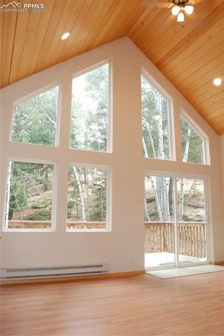 509 Wakanda Trail, Woodland Park, CO 80863