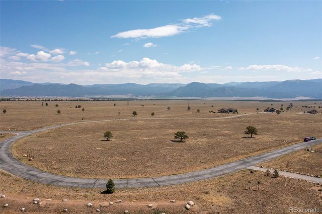 14792 S Stagecoach Lane, Buena Vista, CO 81211