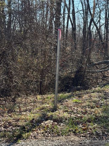 0 Twp Rd 419 Nr Bessemer, German Twp, PA 15478