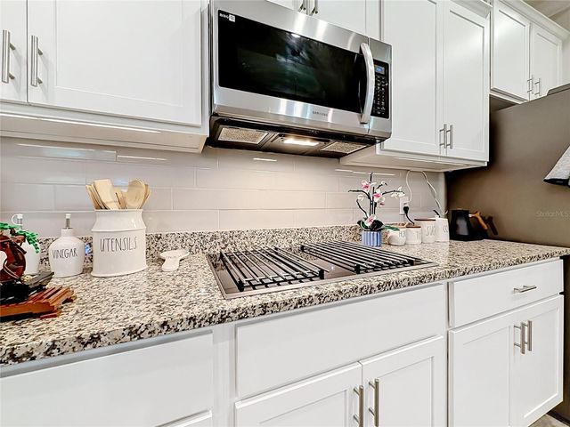 1549 LEWIS ROAD, Fruitland Park, FL 34731
