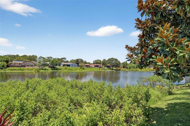 1436 WINDMOOR DRIVE, Dunedin, FL 34698
