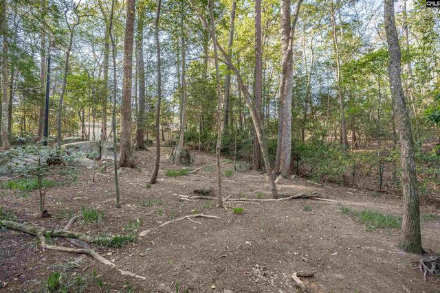 1525 Riviera Drive, West Columbia, SC 29169